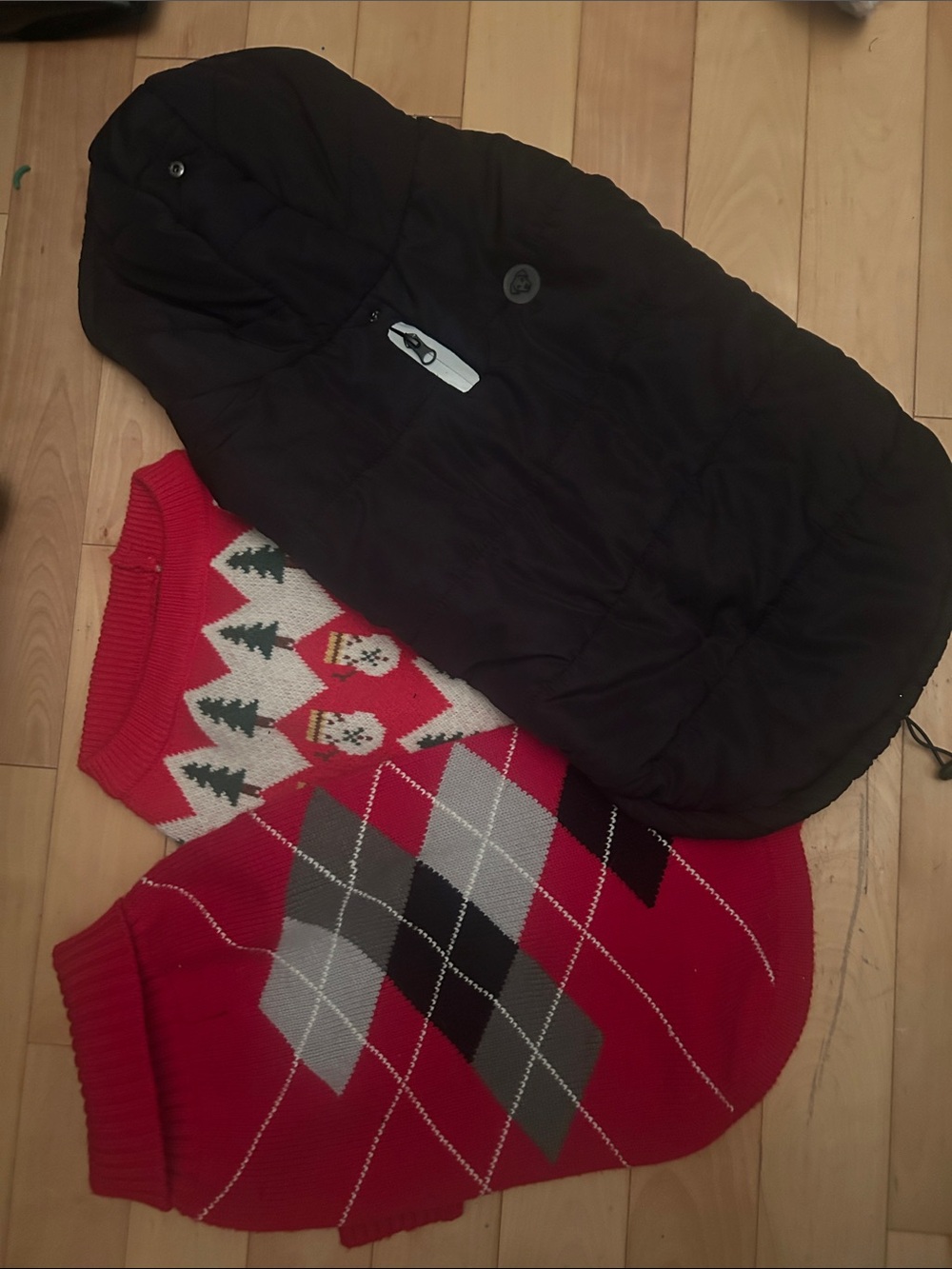 Dog Red Argyle & Holiday Pattern Sweater Vest Duo and winter jacket